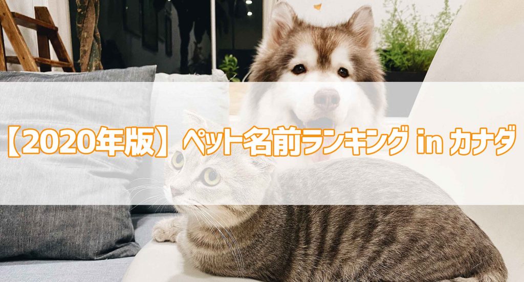 年版 ペット名前ランキング In カナダ